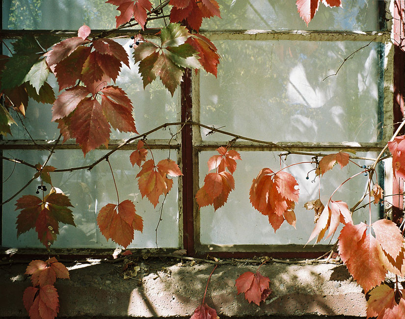 Flagstaff (AZ), Sep. 2012
